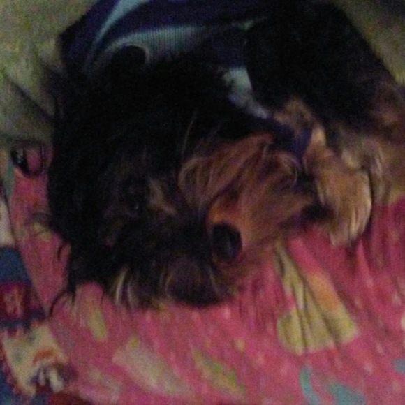 Meet your Posher, Amalia - Picture 1 of 1